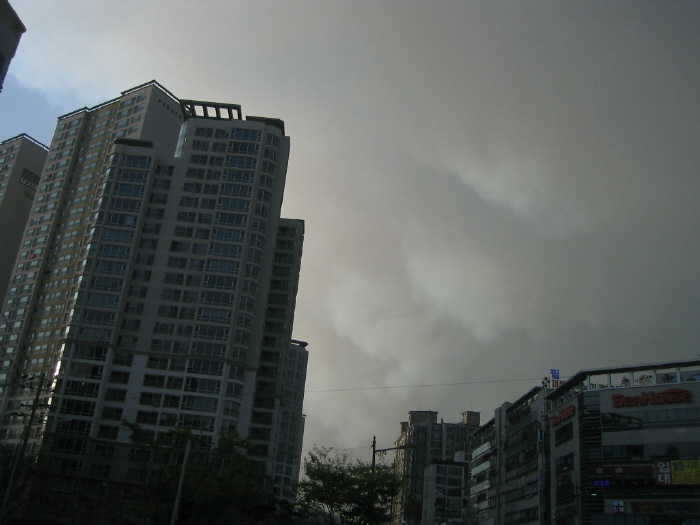 10 046_freebd08123298.jpg
