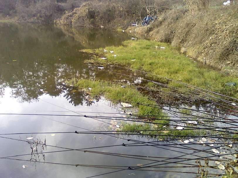 091202_006_johwang12074958.jpg