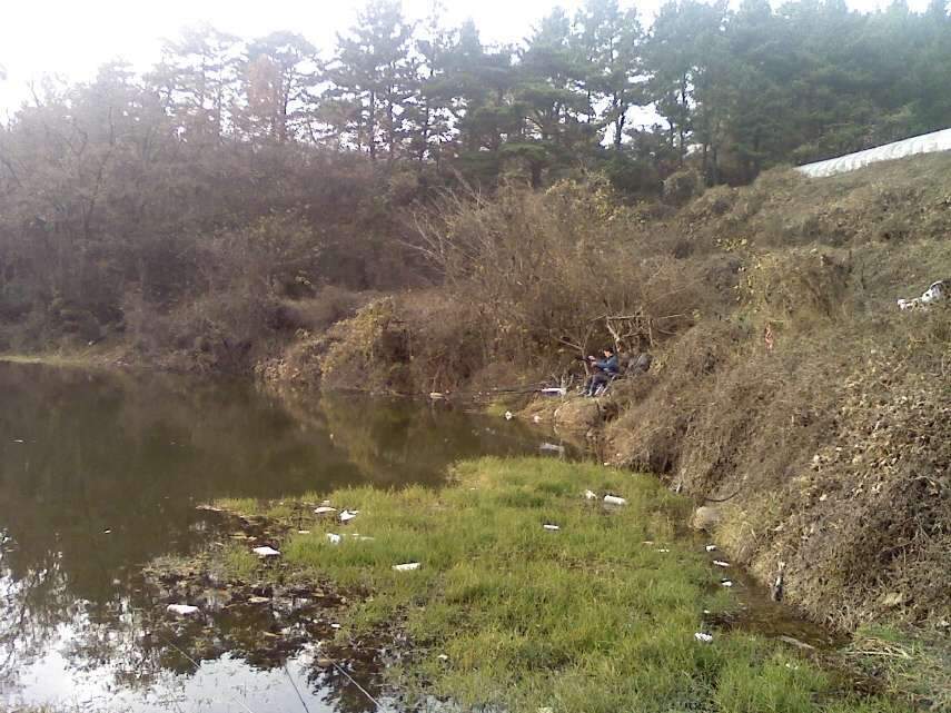 091202_009_johwang12081594.jpg