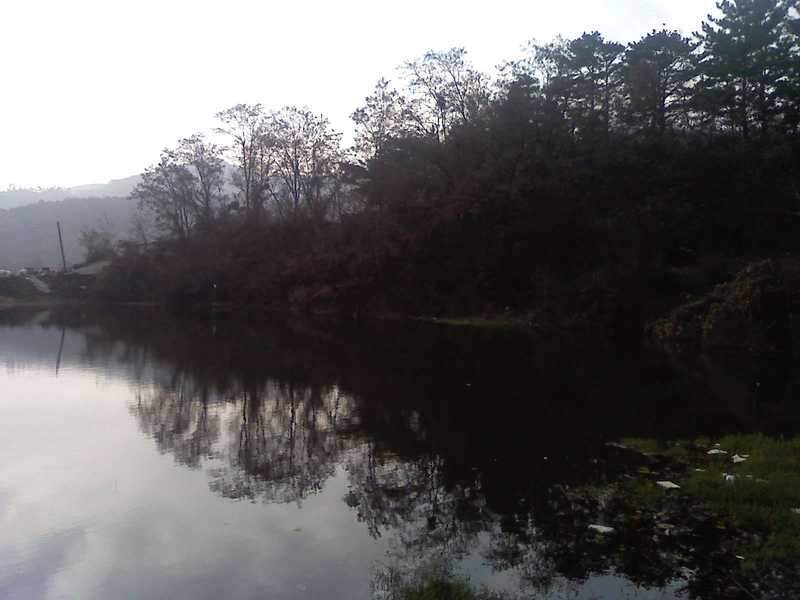 091202_010_johwang12082016.jpg