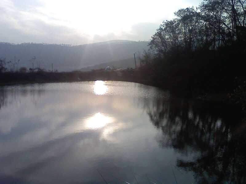 091202_019_johwang12214472.jpg