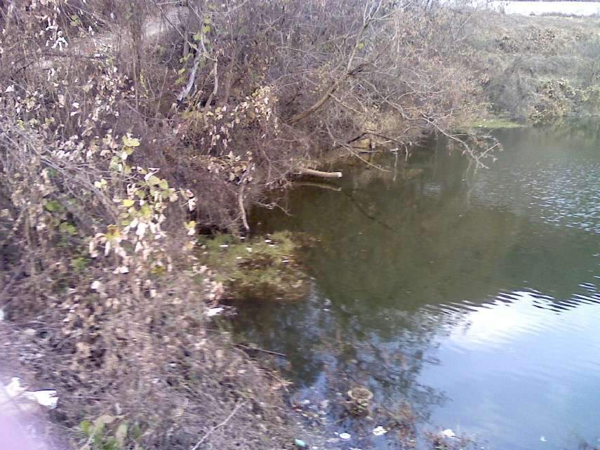091202_023_johwang12244428.jpg