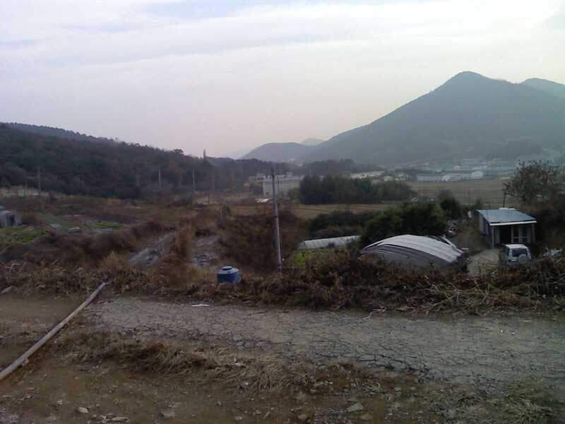 091202_029_johwang12283295.jpg