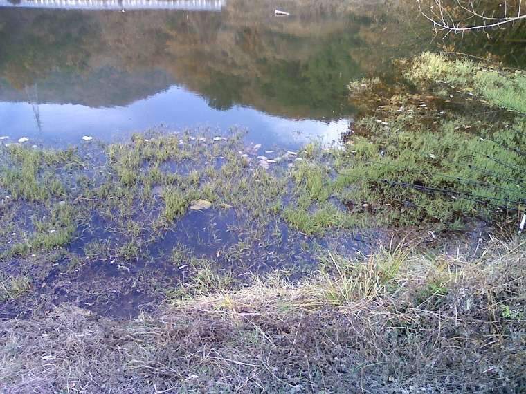 091202_035_johwang12322844.jpg