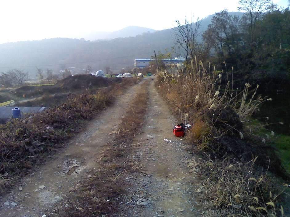 091202_040_johwang1236408.jpg