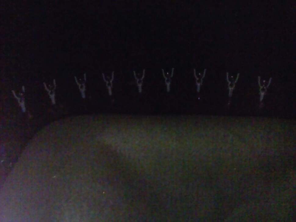 091202_051_johwang12462795.jpg