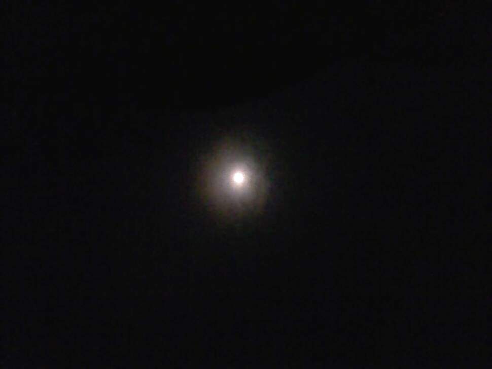 091203_002_johwang12463283.jpg