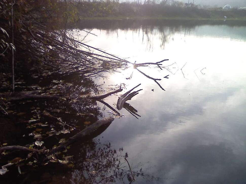091203_007_johwang12503267.jpg