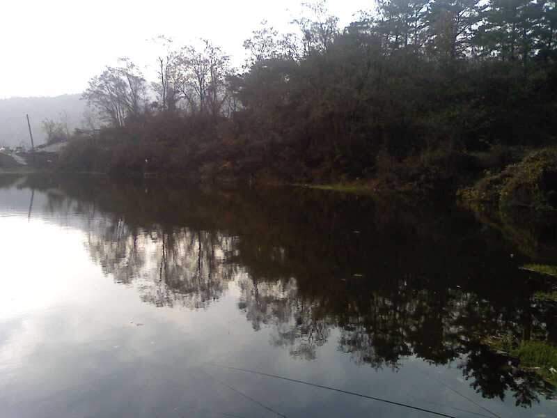 091203_009_johwang12504248.jpg