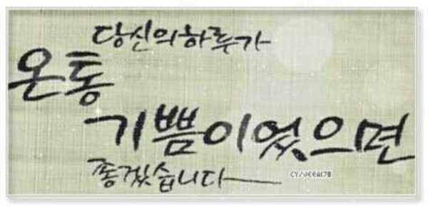 스마트크랭크 Z전자캐미 (중고장터 - 팝니다)