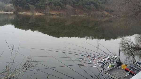 록시 낚시대 및 미니받침대 (중고장터 - 팝니다)