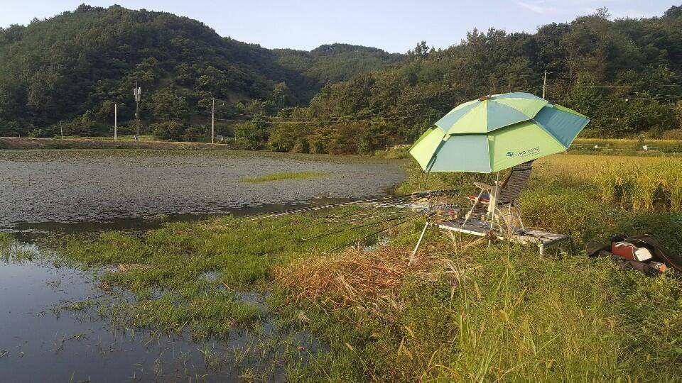 거북이 좌대 팝니다 (중고장터 - 팝니다)