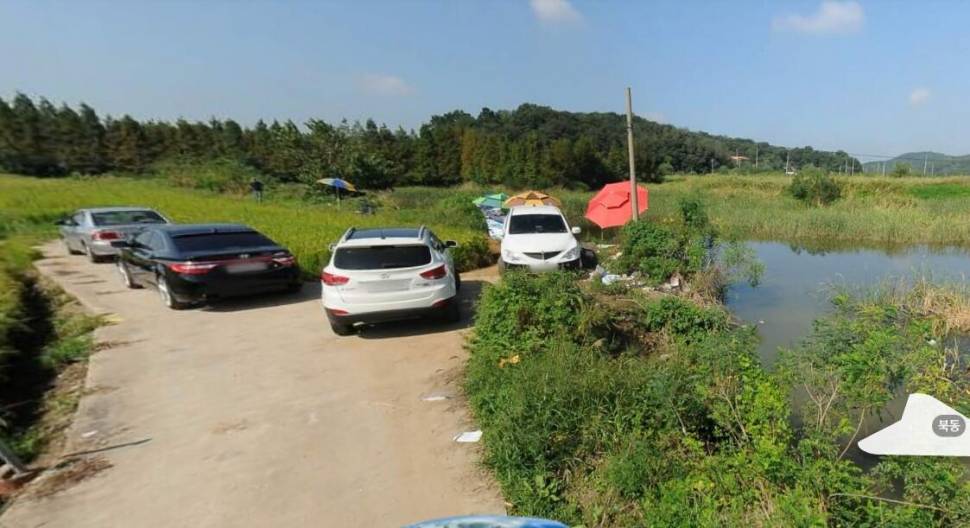 수로권낚시질문 (월척지식 - 전통바닥낚시)