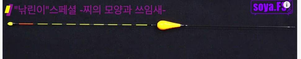 민물찌가 궁금합니다 (월척지식 - 전통바닥낚시)