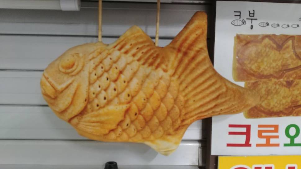 옥내림낚시대 필요칸수 질문드립니다 (월척지식 - 옥수수내림낚시)