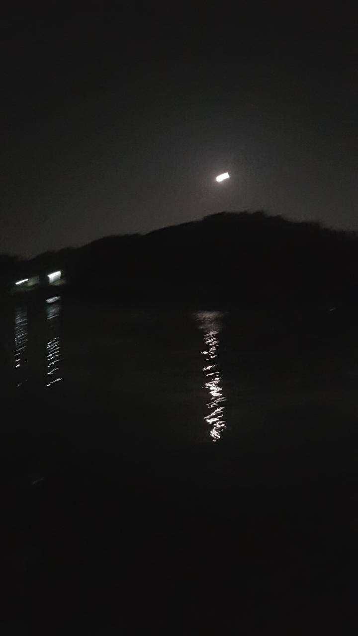 내사랑 원남지 (커뮤니티 - 추억의조행기)