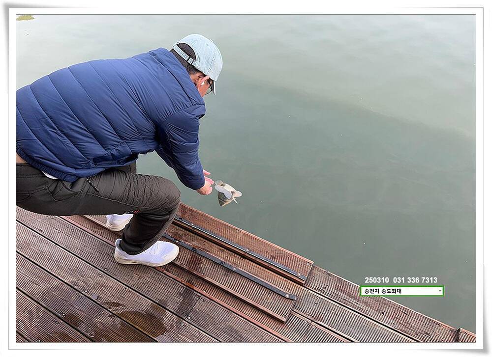 스멀스멀 봄 붕어 (유료터정보 - 유료터점주조황)