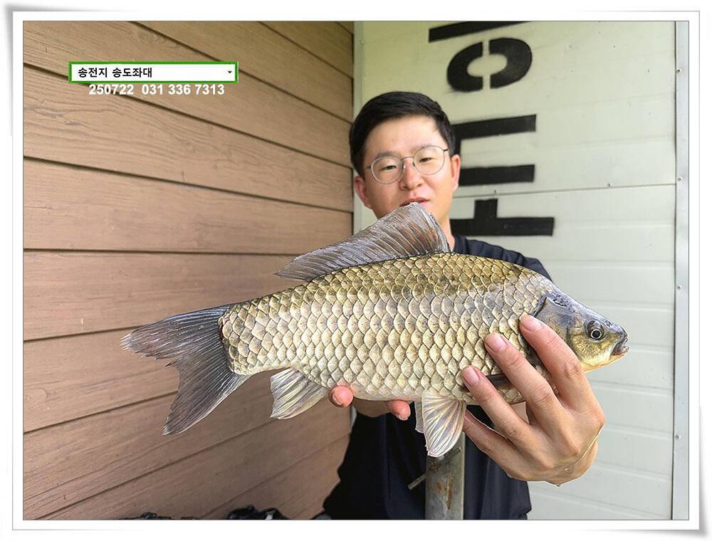 주 초 조황 (유료터정보 - 유료터점주조황)