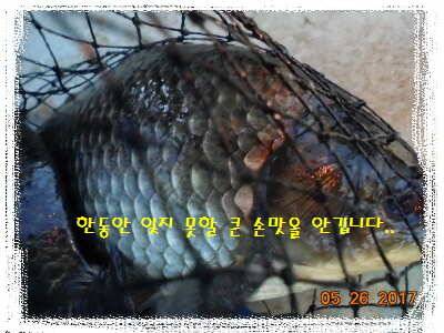 도심속의 작은 쉼터 화성 관리 낚시터입니다역시 밤 입니다 (유료터정보 - 유료터점주조황)