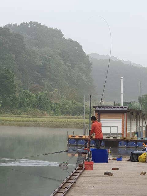 오늘만 같아라용인삼인낚시터 (유료터정보 - 유료터점주조황)