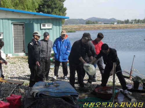 100 토종 (유료터정보 - 유료터점주조황)