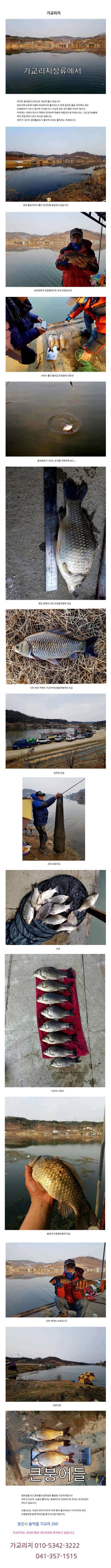 연일 굵은 토종붕어로 환희를 느끼며 (유료터정보 - 유료터점주조황)
