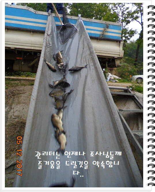 도심속의 작은 쉼터 화성 관리 낚시터입니다 (유료터정보 - 유료터점주조황)
