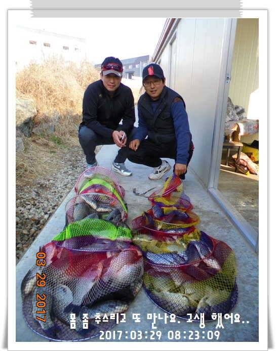 도심속의 작은 쉼터 화성 관리 낚시터입니다밤이 좋아라 (유료터정보 - 유료터점주조황)