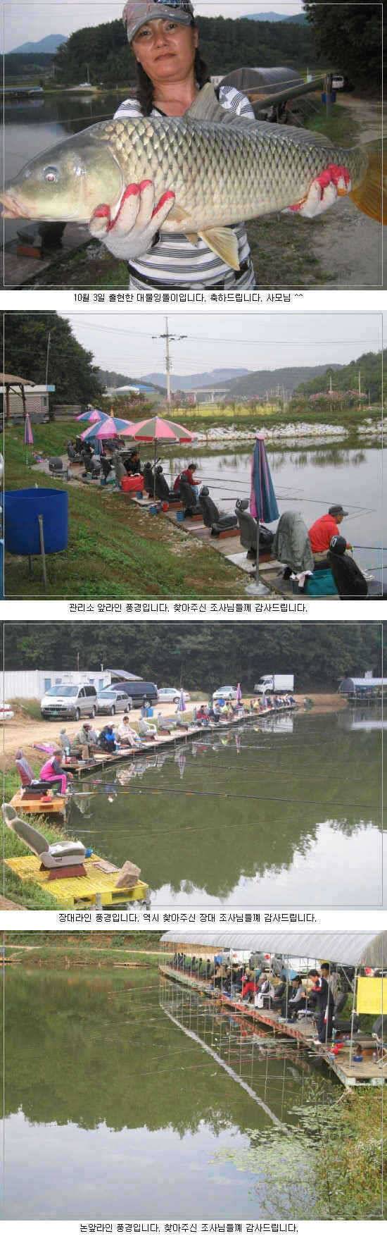 처음 인사올립니다 용인 요덕골낚시터입니다 (유료터정보 - 유료터점주조황)