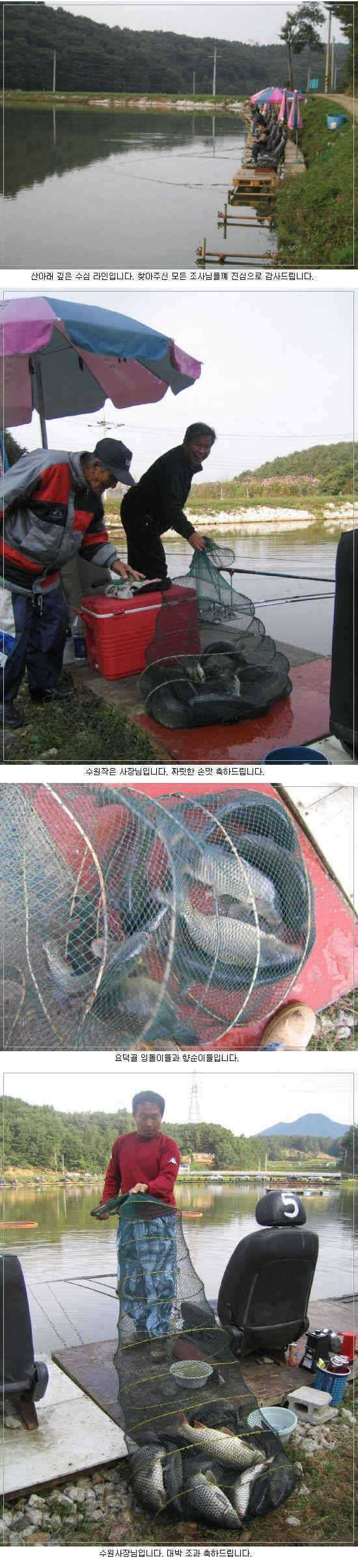 처음 인사올립니다 용인 요덕골낚시터입니다 (유료터정보 - 유료터점주조황)
