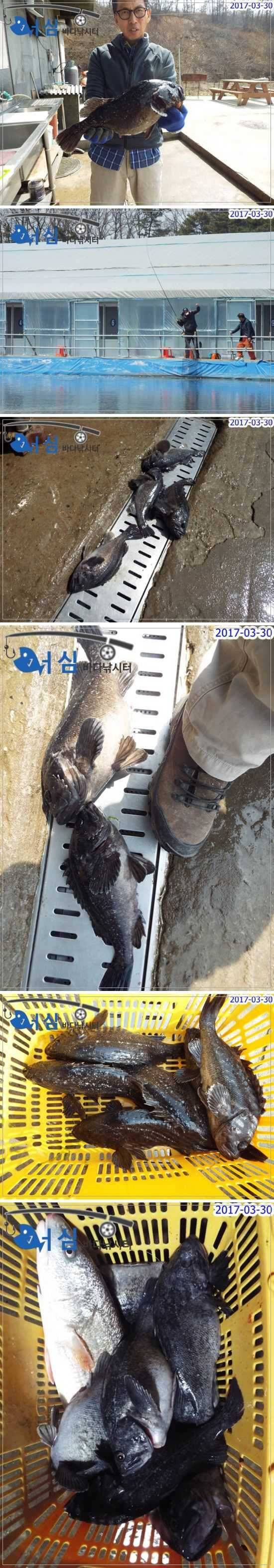 3월30일어심바다낚시터조황 (유료터정보 - 유료터점주조황)