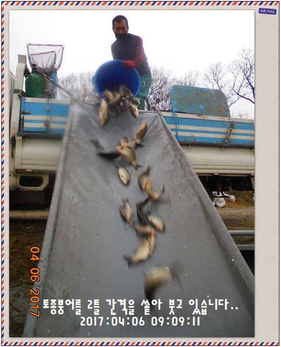 도심속의 작은 쉼터 화성 관리 낚시터입니다대박입니다 (유료터정보 - 유료터점주조황)