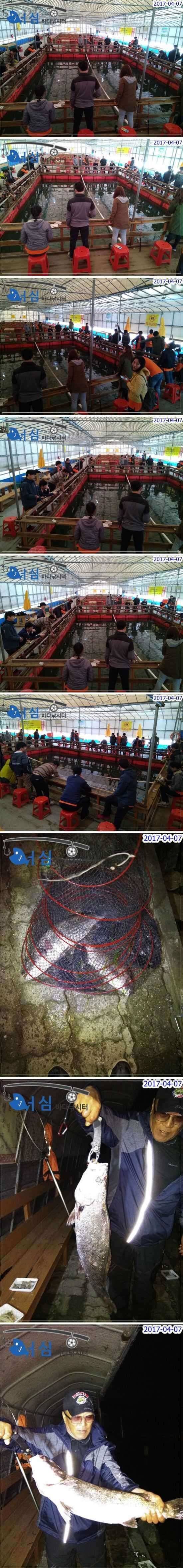 4월7일 어심바다낚시터조황 (유료터정보 - 유료터점주조황)