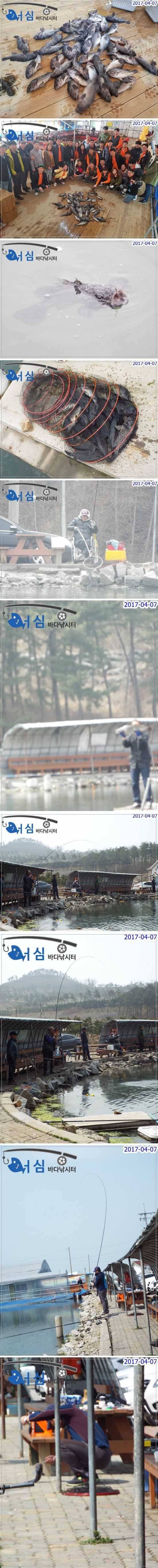 4월7일 어심바다낚시터조황 (유료터정보 - 유료터점주조황)