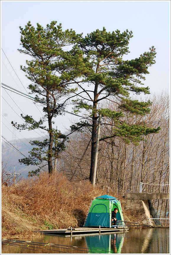 이어지는 주말의 조황 (유료터정보 - 유료터점주조황)