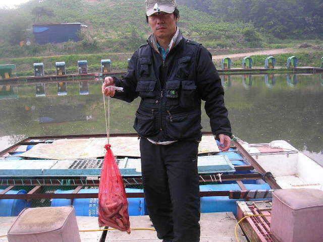 거일낚시터 (유료터정보 - 유료터점주조황)