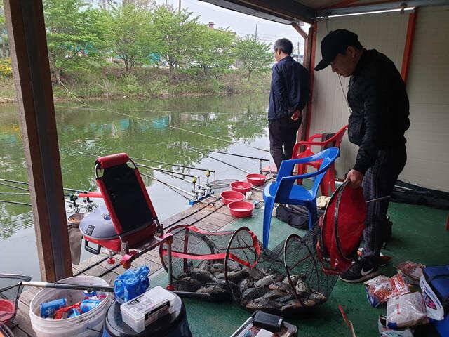 가깝고물좋고경치좋은곳용인삼인낚시터 (유료터정보 - 유료터점주조황)