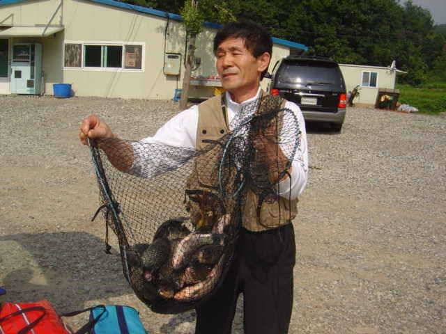 8월 마지막주 금토요일 아침 신수지 소식입니다 (유료터정보 - 유료터점주조황)