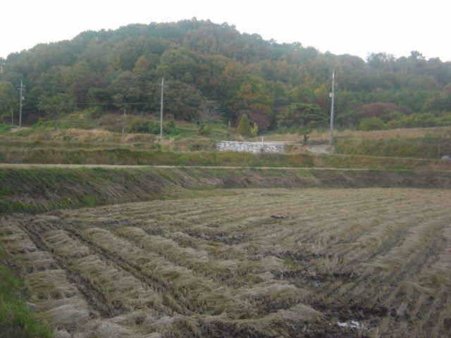 낮시간과 해가지고난 밤의 찌올림이 다르게 나타나네요 (유료터정보 - 유료터점주조황)