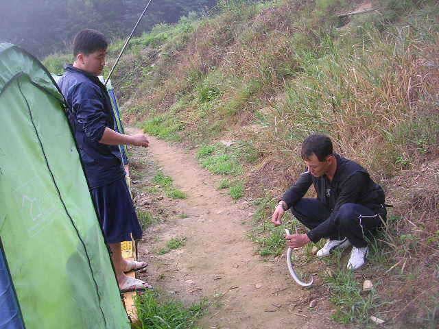 활발해지는 장어메기들 (유료터정보 - 유료터점주조황)