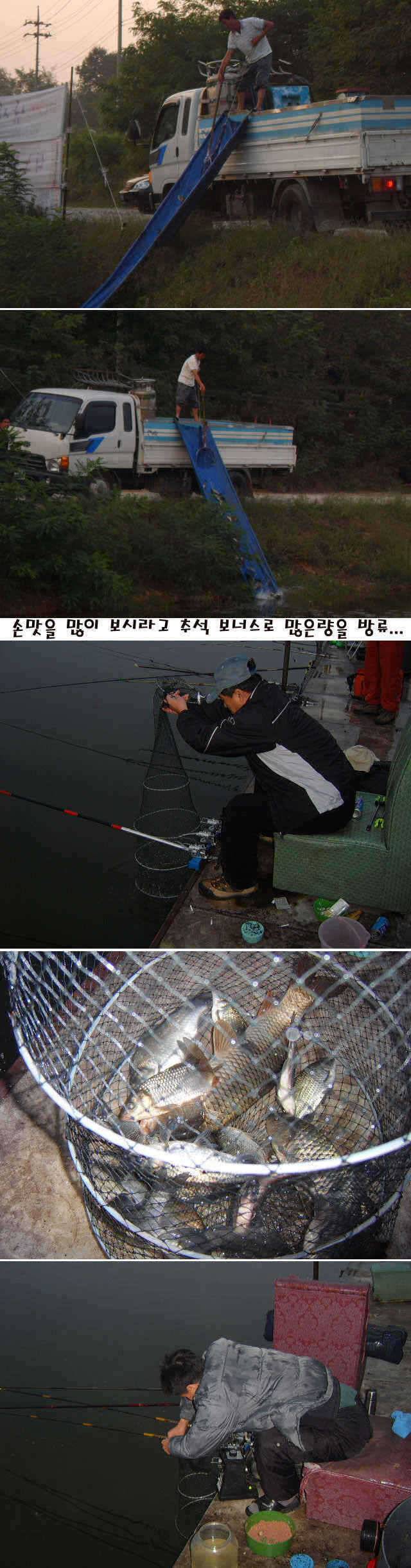 아산 죽산낚시터 10월34일 추석 전야 빈바구니 없습니다 (유료터정보 - 유료터점주조황)