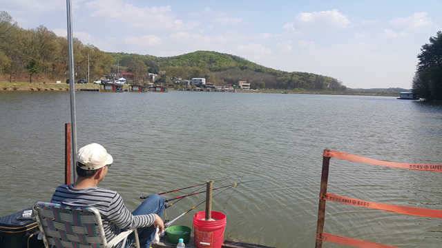 물 맑고 힘 좋은 용인 삼인 낚시터 (유료터정보 - 유료터점주조황)
