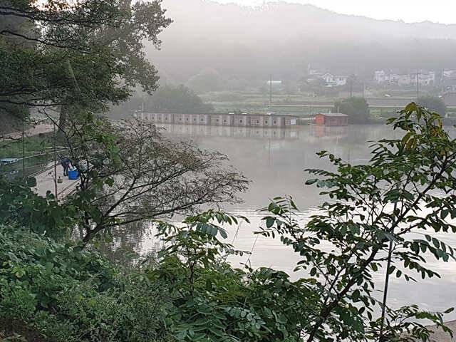 오늘만 같아라용인삼인낚시터 (유료터정보 - 유료터점주조황)