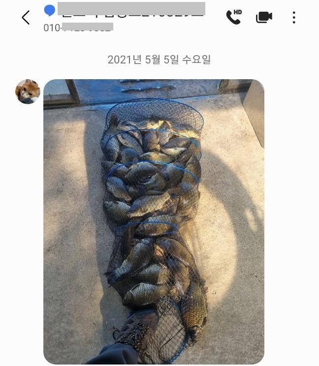 주중반 힐링 수곡낚시터 수목 고른편 조황이며 오늘 붕어방류합니다 (유료터정보 - 유료터점주조황)