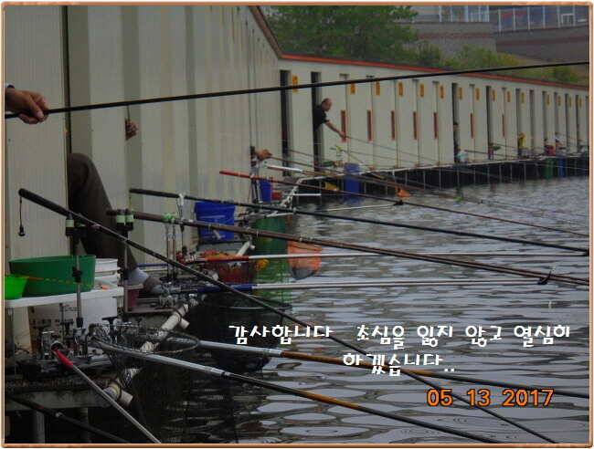 도심속의 작은 쉼터 화성 관리 낚시터입니다 (유료터정보 - 유료터점주조황)