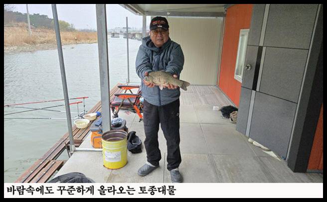 아산죽산지327일 바람속에도 꾸준하게 올라오는 토종대물 (유료터정보 - 유료터점주조황)