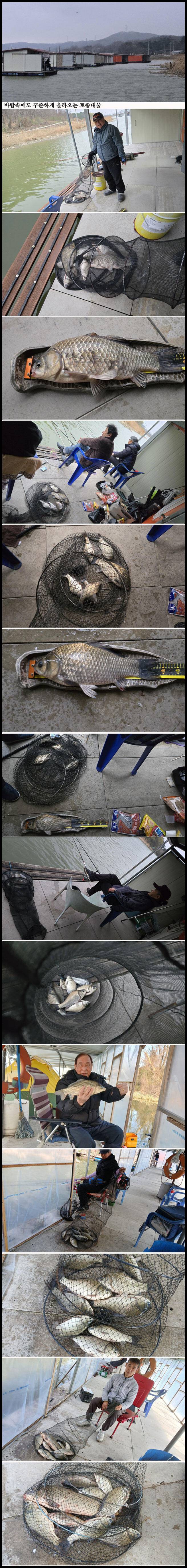 아산죽산지327일 바람속에도 꾸준하게 올라오는 토종대물 (유료터정보 - 유료터점주조황)