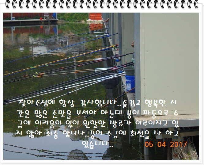 도심속의 작은 쉼터 화성 관리 낚시터입니다밤이 즐겁습니다 (유료터정보 - 유료터점주조황)