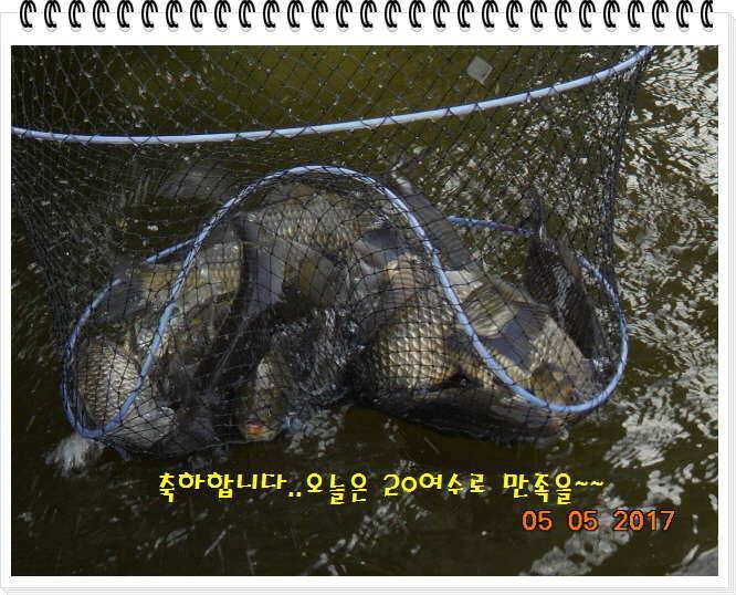 도심속의 작은 쉼터 화성 관리 낚시터입니다밤이 즐겁습니다 (유료터정보 - 유료터점주조황)