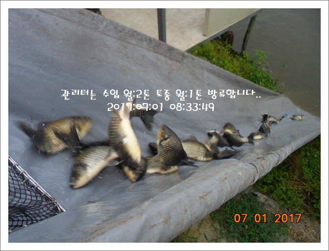 도심속의 작은 쉼터 화성 관리낚시터입니다Dae Bak (유료터정보 - 유료터점주조황)